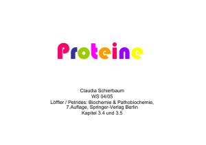 Claudia Schierbaum WS 04/05 Löffler / Petrides: Biochemie