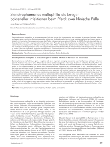 Stenotrophomonas maltophilia als Erreger bakterieller Infektionen