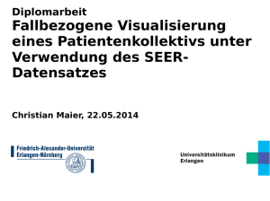 Case-based visualization of a patient cohort using SEER