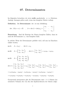 Determinanten - Mathematics TU Graz