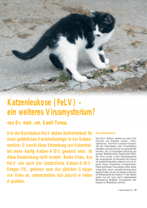 Katzenleukose (FeLV) – ein weiteres Virusmysterium?