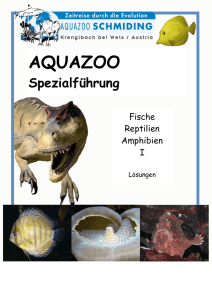 Spezialführung Fische, Amphibien, Reptilien I