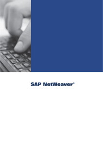SAP Business Intelligence, SAP NetWeaver Portal, SAP System
