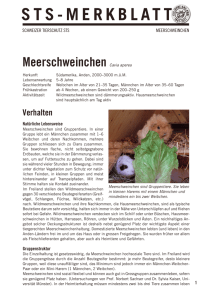 STS-MERKBLATT - Schweizer Tierschutz STS