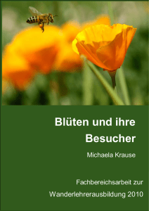 Blüten und ihre Besucher Blüten und ihre Besucher Blüten und ihre