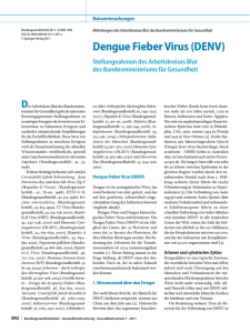 Dengue Fieber Virus (DENV)