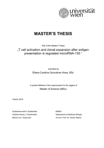 MASTER`S THESIS