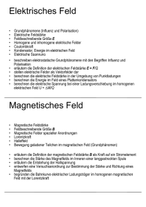 Elektrisches Feld Magnetisches Feld - idn.uni
