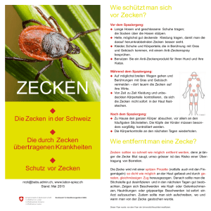 zecken - Labor Spiez