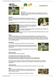 Tiger | Tierlexikon für Kinder - Archiv | SWR Kindernetz OLI`s Wilde