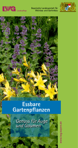 Essbare Gartenpflanzen - Bayerische Landesanstalt für Weinbau