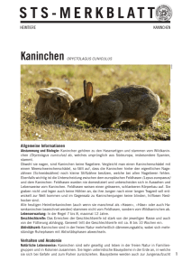 STS-MERKBLATT - Schweizer Tierschutz STS