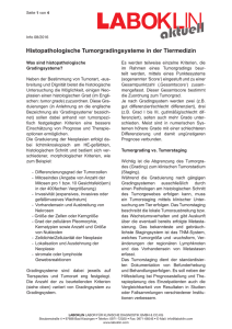 Histopathologische Tumorgradingsysteme in der