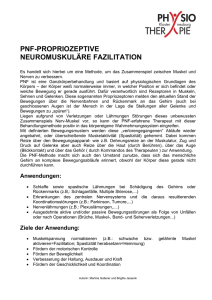 PNF-PROPRIOZEPTIVE NEUROMUSKULÄRE FAZILITATION