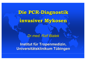 Die PCR-Diagnostik invasiver Mykosen