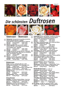 Die schönsten Duftrosen