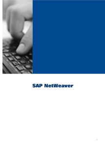 SAP NetWeaver - SAP Service Marketplace