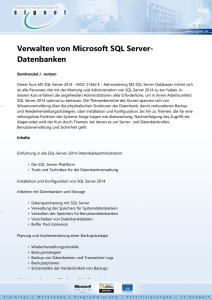 Verwalten von Microsoft SQL Server- Datenbanken