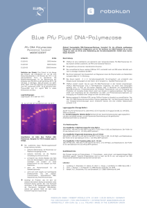 Blue Pfu Plus! DNA-Polymerase