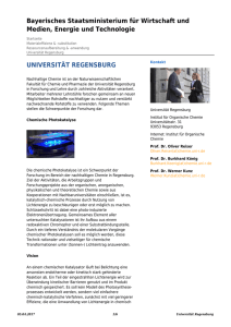 Universität Regensburg: Rohstoffstrategie Bayern