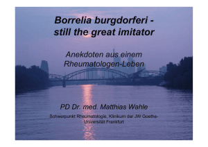 Borrelia burgdorferi - still the great imitator