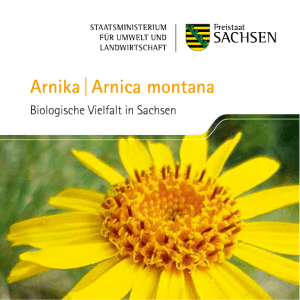 Arnika | Arnica montana - Publikationen