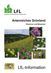 Artenreiches Grünland - Bayerische Landesanstalt für Landwirtschaft