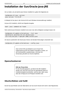 Installation der Sun/Oracle-Java-JRE - ASV