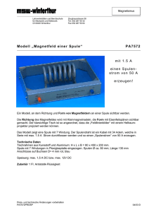 Modell „Magnetfeld einer Spule“ - MSW-Shop