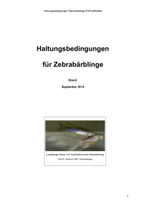 Haltungsbedingungen für Zebrabärblinge - EuFishBioMed