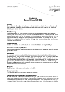 Merkblatt EHEC - Landratsamt Schwarzwald-Baar