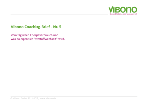 Vibono Coaching-Brief