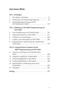 ABAP-Entwicklung für SAP HANA