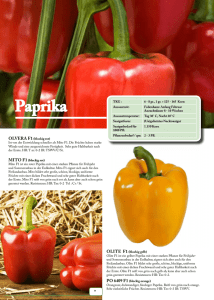 Paprika