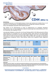 CD44 Flyer - medac