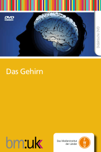 Das Gehirn