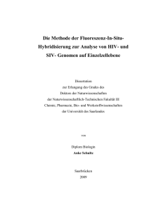 Die Methode der Fluoreszenz-In-Situ