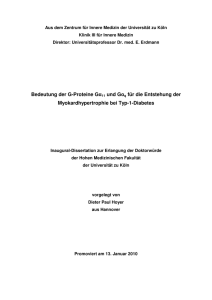 Dissertation D.P. Hoyer