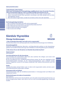 Beipackzettel Glandula thyreoidea D30 Dilution