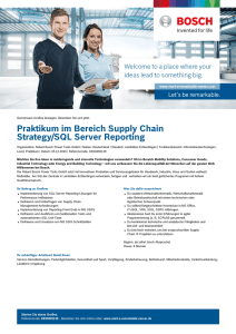 Praktikum im Bereich Supply Chain Strategy/SQL Server Reporting