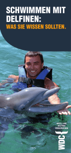 schwimmen mit delfinen - WDC, Whale and Dolphin Conservation