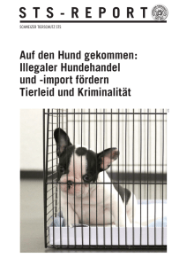 Illegaler Hundehandel und -import fördern Tierleid und Kriminalität