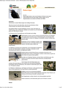 Rabenvögel PDF OLIs Tierlexikon