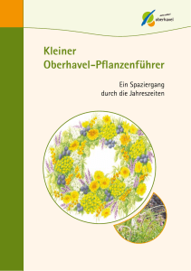 Kleiner Oberhavel-Pflanzenführer