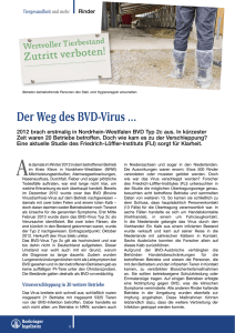Der Weg des BVD-Virus - Tiergesundheit und mehr