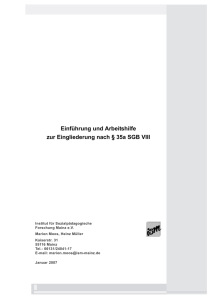 Einführung und Arbeitshilfe zur Eingliederung nach § 35a SGB VIII