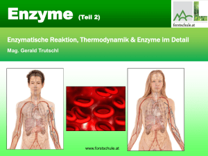 enzymes II