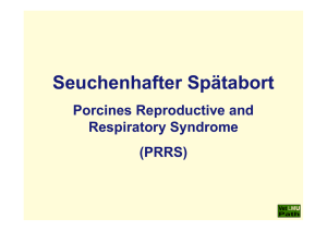 21_PRRS_(Porcines Reproductive and Respiratory Syndrome)