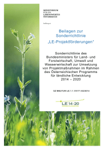 4. Beschreibung des geplanten Projektes und Darstellung möglicher