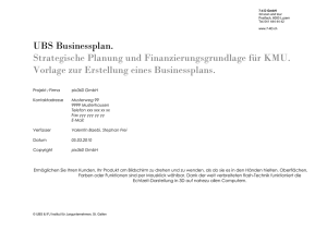 UBS Businessplan - b